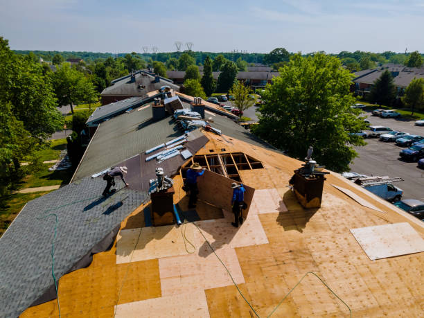 24/7 Emergency Roof Replacement experts in Downsville, LA